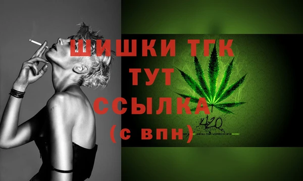 скорость Гусь-Хрустальный