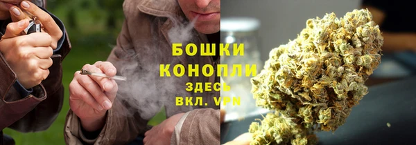 скорость Гусь-Хрустальный