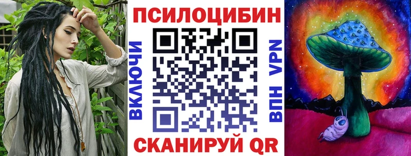 Псилоцибиновые грибы Cubensis  Купить закладки  Каменка 